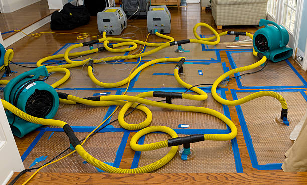 Professional Crawl Space Water Removal technician working in Versailles, MO